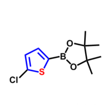 5-CHLOROTHIOPHENE-2-BORONIC ACID PINACOL ESTER CAS 635305-24-7